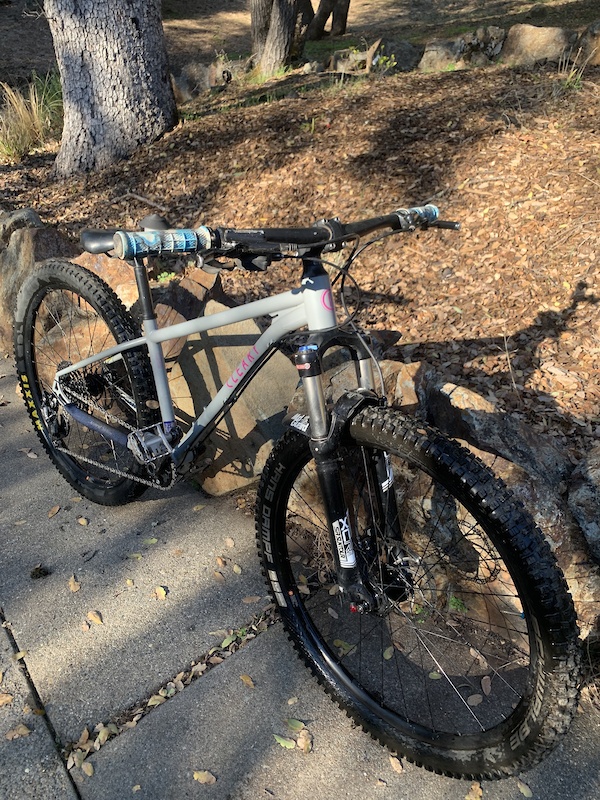 cleary scout 24 for sale