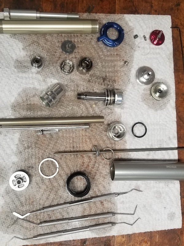 Rockshox brain deals fork service