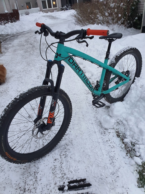 dartmoor hornet 2020 for sale