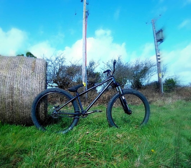 dartmoor quinnie frame