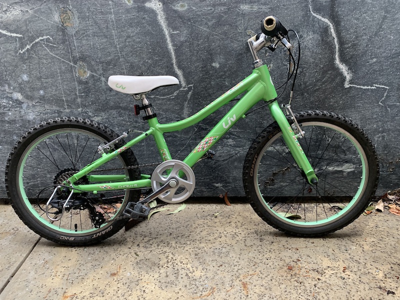 learning to ride a balance bike