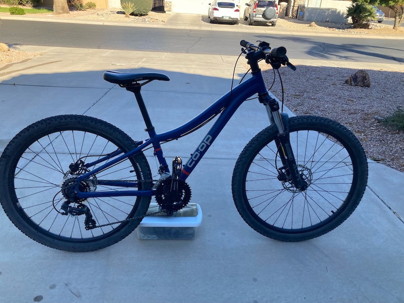 rei hardtail