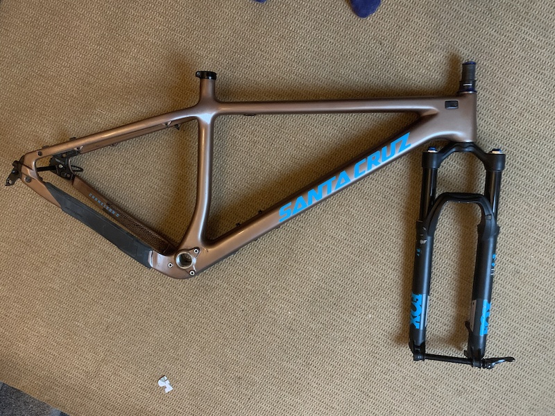 santa cruz chameleon c