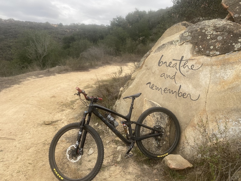 2018 trek fuel ex 9.9 for sale