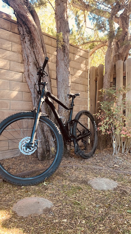 custom lowrider beach cruisers