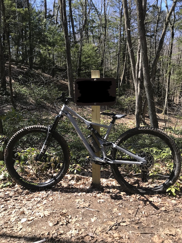 2019 stumpjumper comp alloy 29