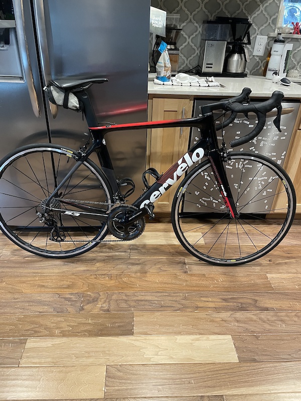 ale master bib shorts