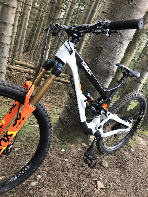 Saracen best sale ariel 2019