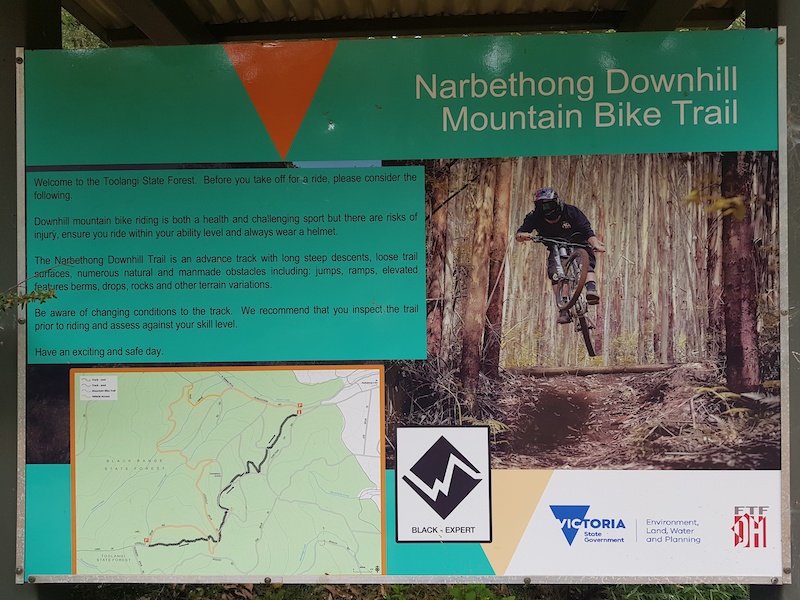 Narbathong MTB Park Marysville Mountain Biking Trails Trailforks