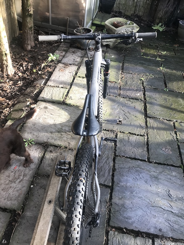 trek procaliber 8 2019 review