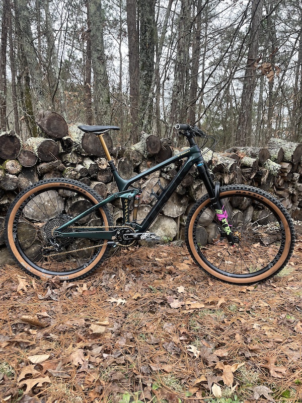 trek remedy size