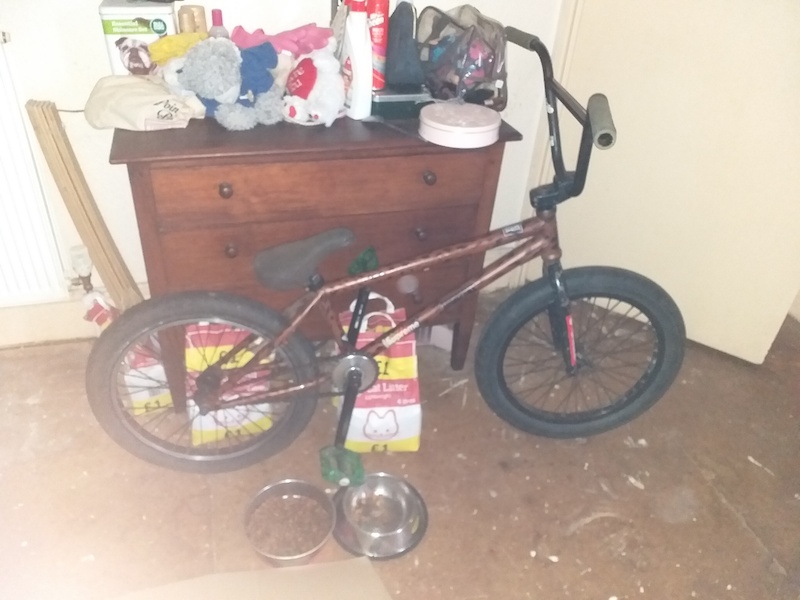 custom bmxs