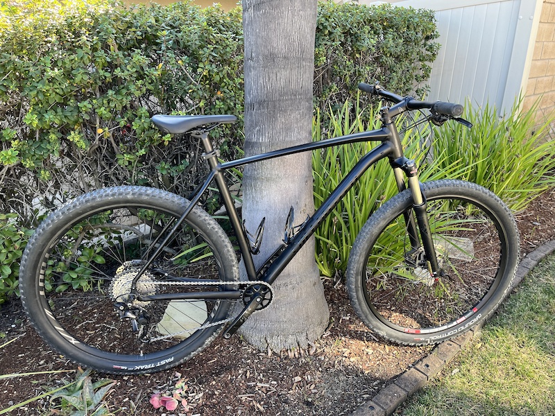 specialized 2020 rockhopper 29