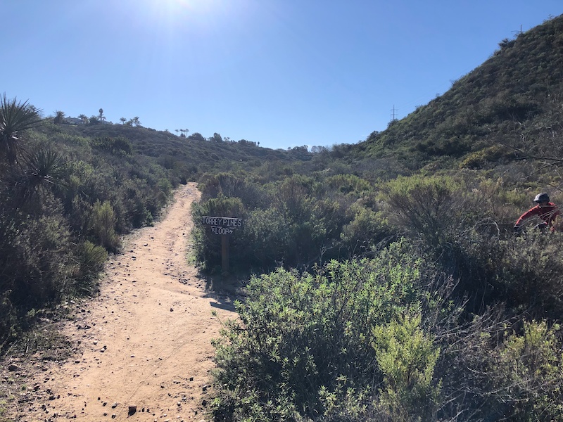 Torrey Pines Loop Trail West Mountain Biking Trail - San Diego