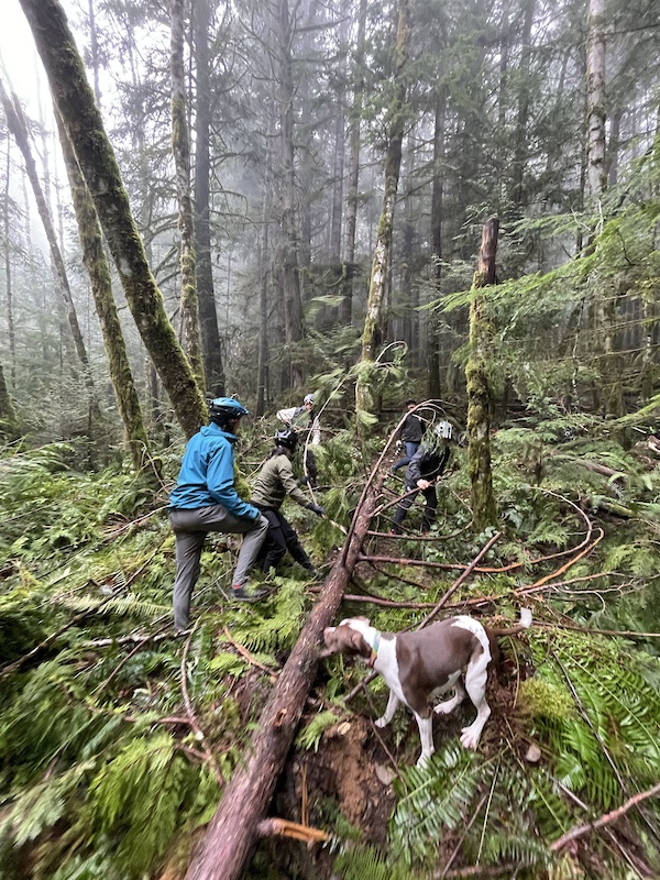 Huggies Mountain Biking Trail - Sechelt, British Columbia