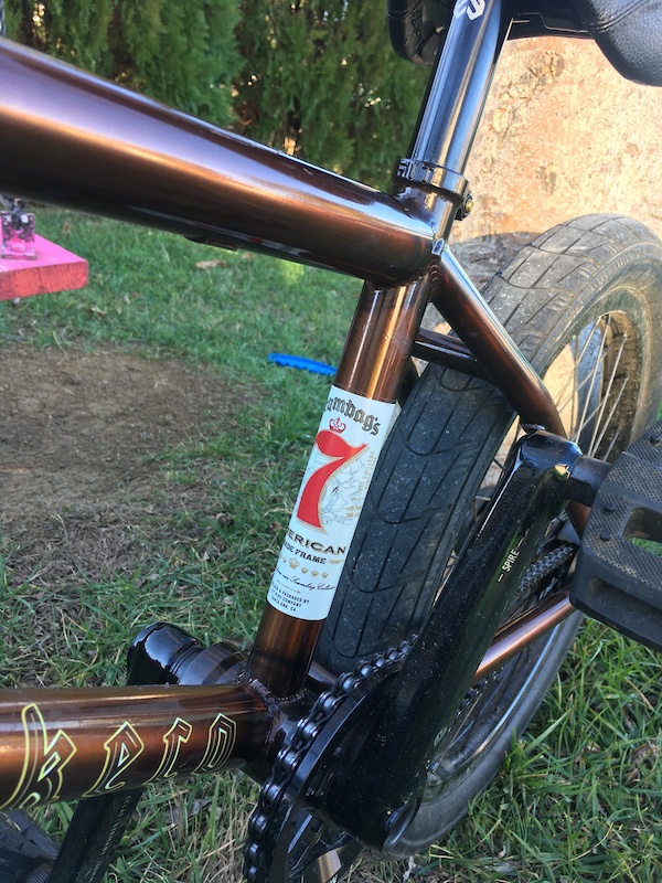 2020 Fit bmx brandon begin eclat For Sale 2020 Fit bmx brandon begin eclat For Sale