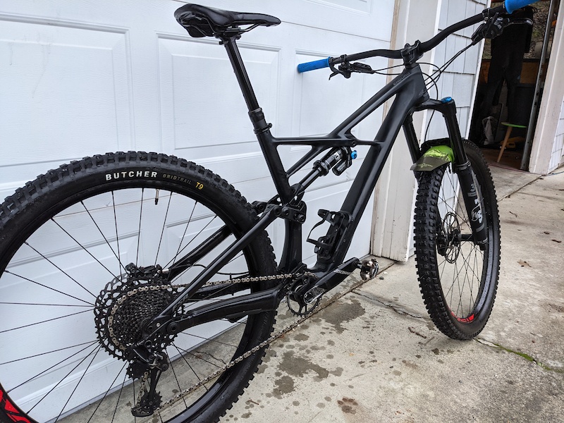 2019 specialized enduro elite carbon