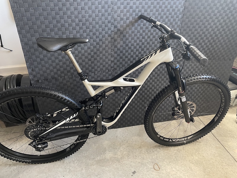 2010 specialized enduro expert