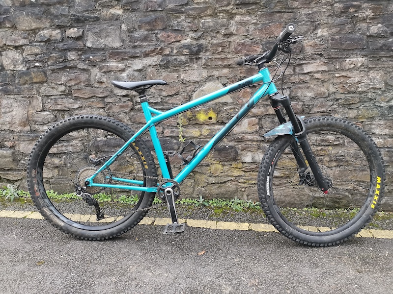 2019 Ragley blue pig XL For Sale