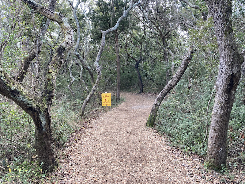 Elliot Coues Trail Mountain Biking Trail - Havelock, NC