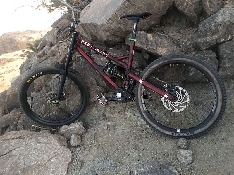 2019 Peregrine Gearbox Downhill Bike For Sale