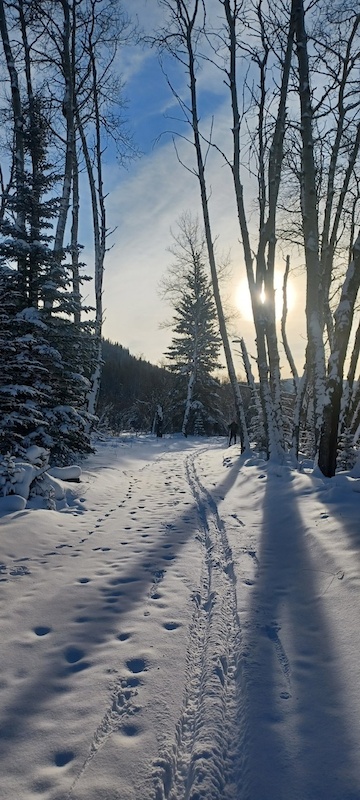 Joachim Valley Trail Multi Trail Hinton Alberta 
