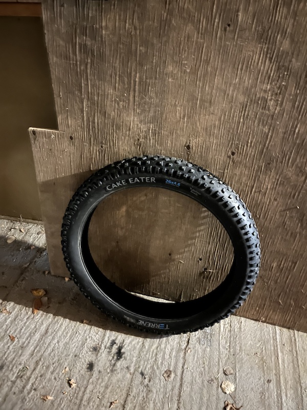 2021 Terrene Cake Eater Studded 26 x 4.6 For Sale