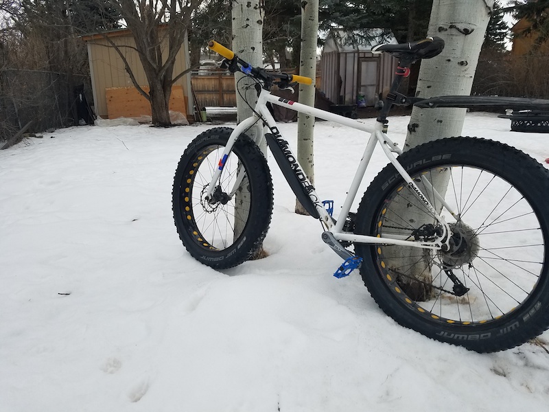 diamondback el oso dos fat bike