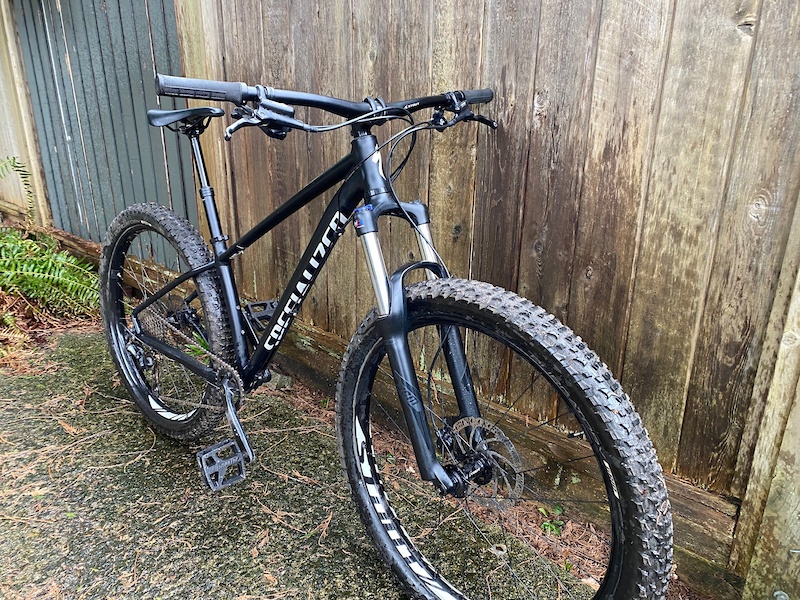 specialized fuse chainstay length
