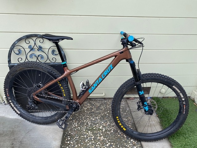 carbon chameleon frame