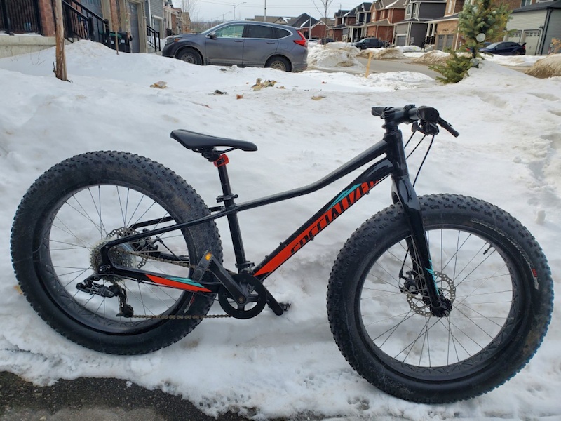 specialized fatboy 24 for sale