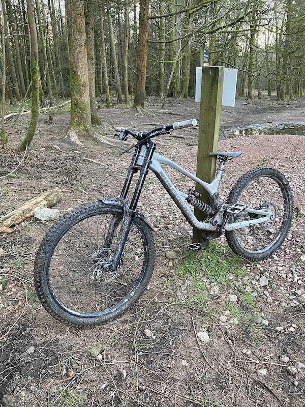 nukeproof dissent 29