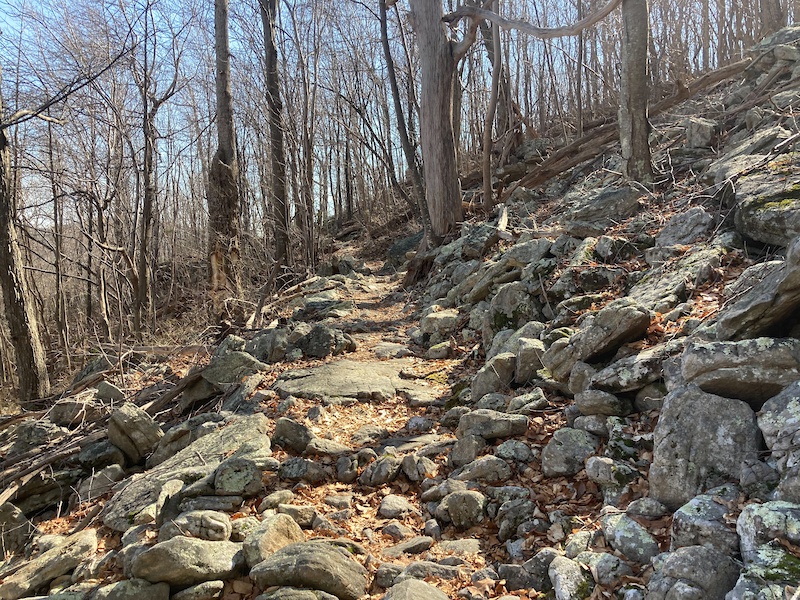 Signal Knob (Massanutten) Multi Trail Strasburg, VA