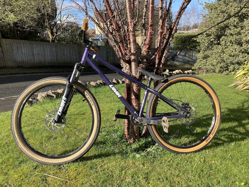 dmr sect 2020 review