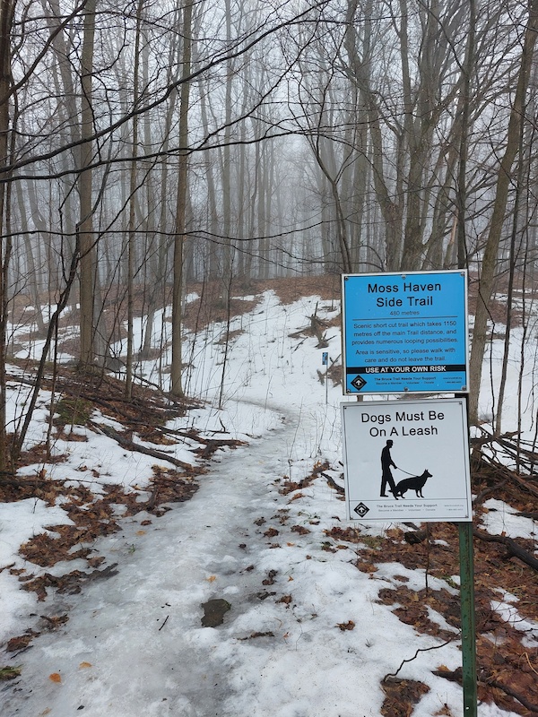 Moss Haven Side Trail Hiking Trail - Mulmur, Ontario