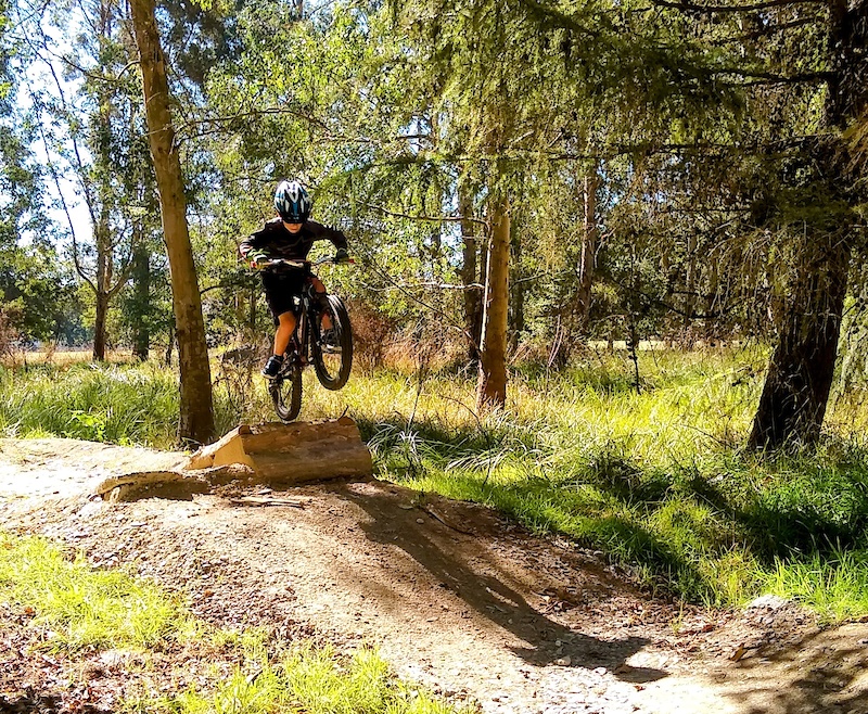 Pinball (Skills trail) Mountain Biking Trail Gore