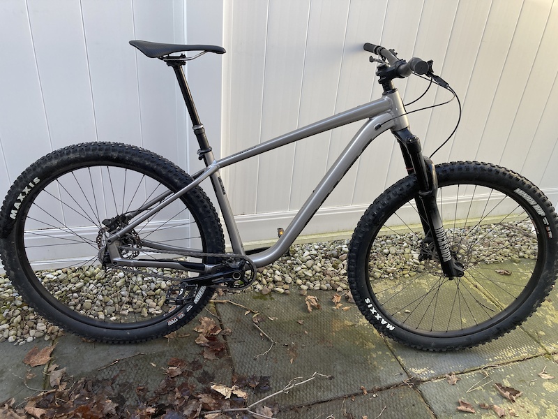 salsa single speed 29er