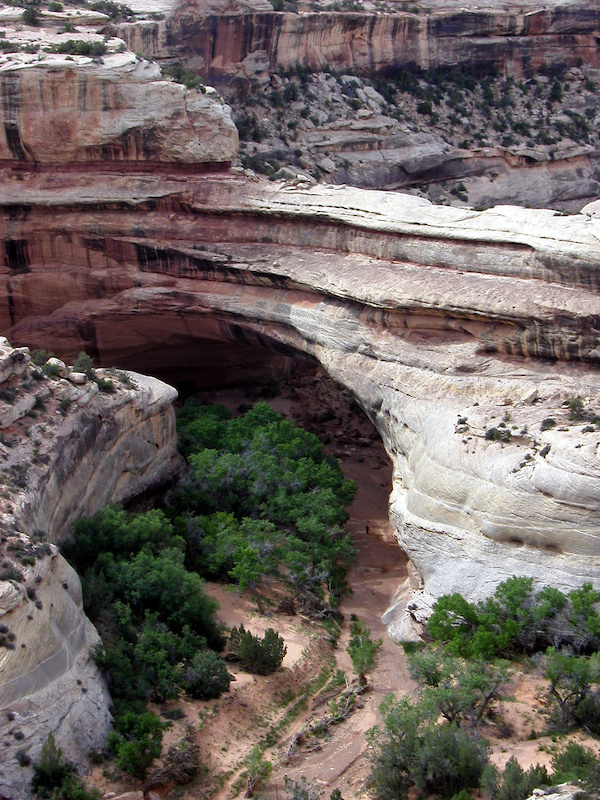 Kachina Bridge | Trailforks