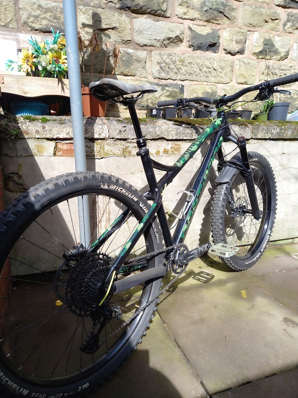 dartmoor primal frame 2020