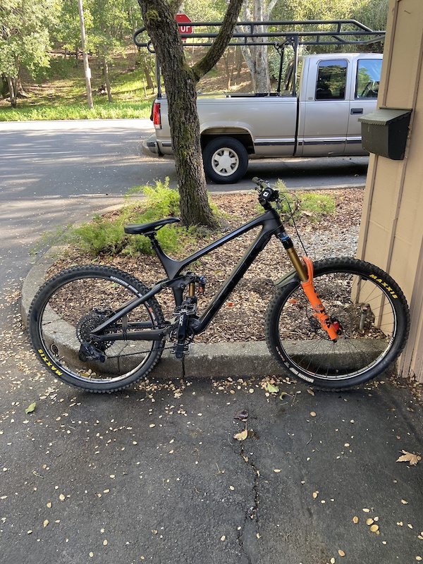 2019 trek remedy 9.9