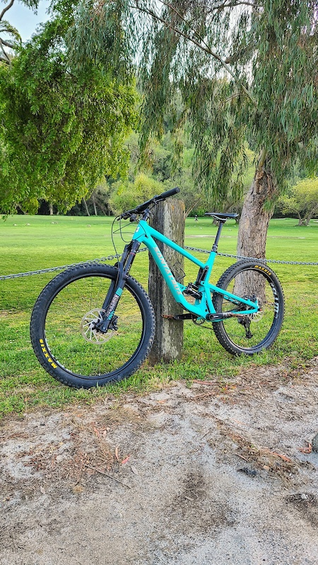 santa cruz bronson 2019 for sale