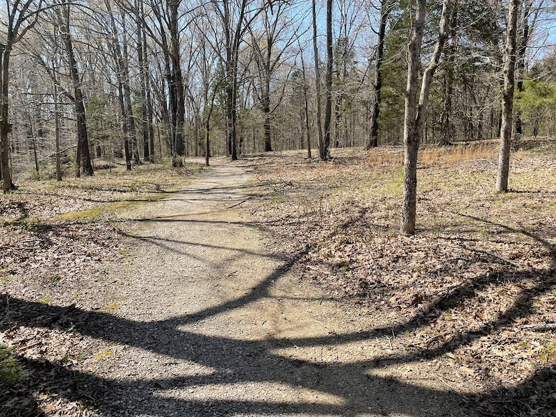 International Harvester Managerial Park, Lakeland Mountain Biking ...