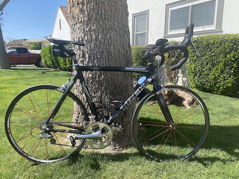 Trek madone 2004 hot sale