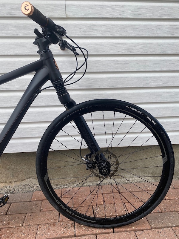 2014 Cannondale Bad Boy Zero Medium Frame For Sale