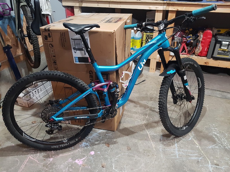 2016 liv intrigue sx