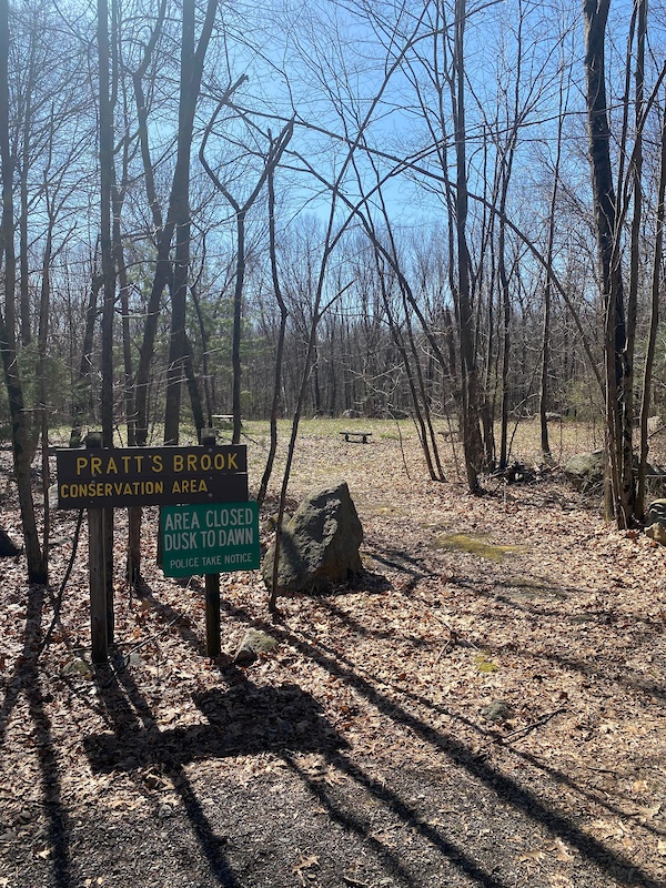 Blue Blueberries Hiking Trail Acton, Massachusetts