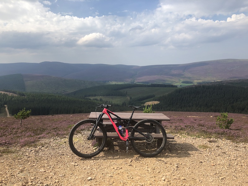 wheelie bar for mountain bike