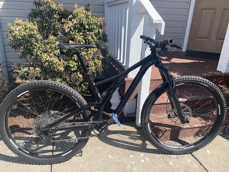 2019 stumpjumper 29er
