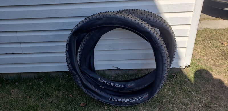 bontrager barbegazi 27.5