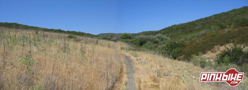 Single track leading to Deer Canyon camp ground.